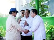 Bupati Banyuasin Bangga! Kabupaten Banyuasin Jadi Pilot Project Launching Gerina di Sumsel