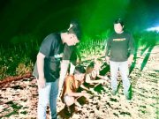 Operasi Sikat Musi 2025, Polsek Tungkal Ilir Bekuk Dua Orang Terduga Premanisme