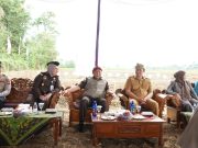 Walikota Pagaralam Dampingi Kejati Sumsel Gerakan Penanaman Bibit Jagung
