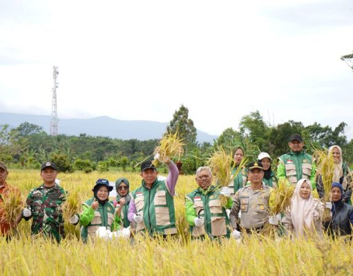 Walikota Pagar Alam Menghadiri Panen Padi Bersama