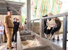Sekda Menegaskan Pemkot Palembang Berkomitmen Menjaga Kestabilatas Harga Pangan