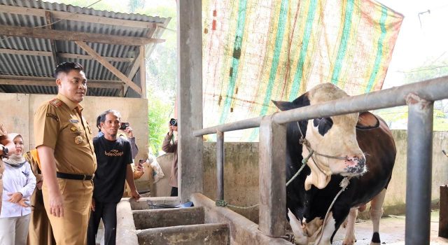 Sekda Menegaskan Pemkot Palembang Berkomitmen Menjaga Kestabilatas Harga Pangan