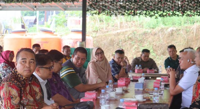 Walikota Pagar Alam, Menerima Audensi Anggota / Deputi Bidang Pengusahaan BP Batam